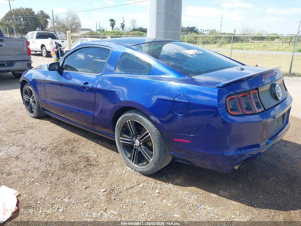 1ZVBP8AM9D5230033 2013 FORD MUSTANG photo no. 3