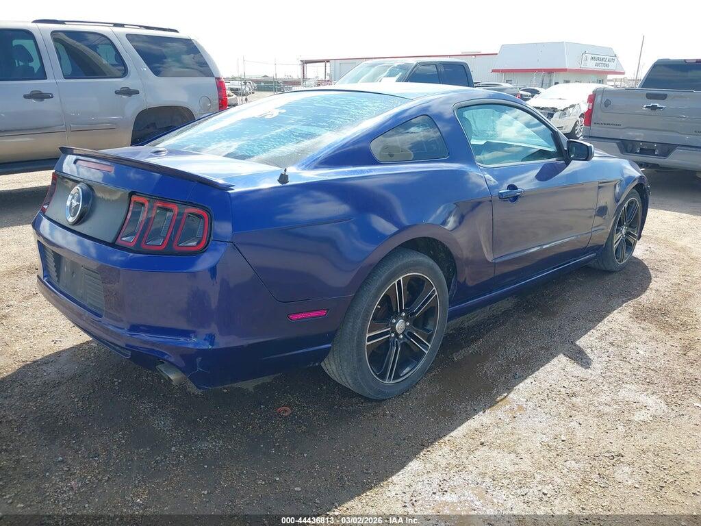 1ZVBP8AM9D5230033 2013 FORD MUSTANG photo no. 4