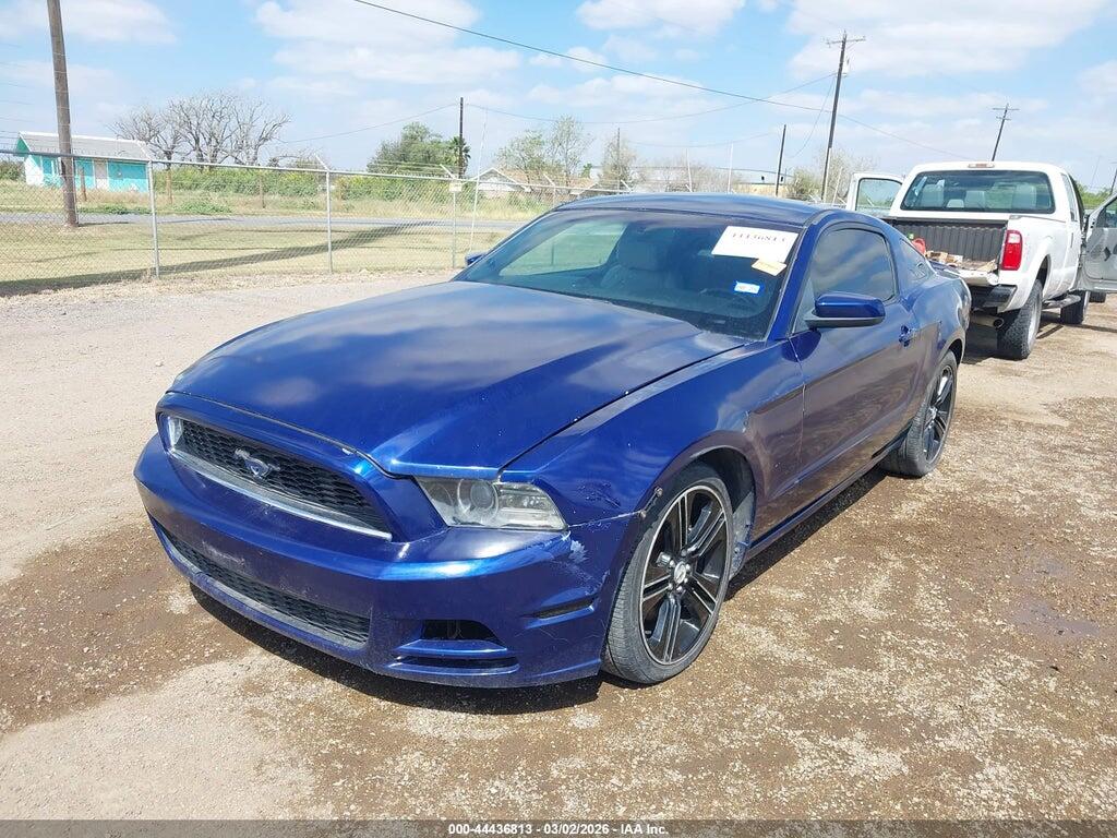 1ZVBP8AM9D5230033 2013 FORD MUSTANG photo no. 6