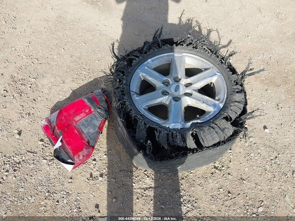 1FTEW3K88RKD53242 2024 FORD F-150 photo no. 12