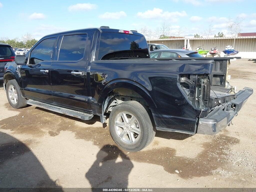 1FTEW3K88RKD53242 2024 FORD F-150 photo no. 3