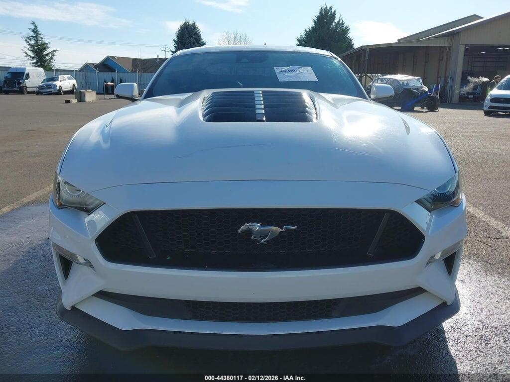 1FA6P8CF7K5189858 2019 FORD MUSTANG photo no. 12