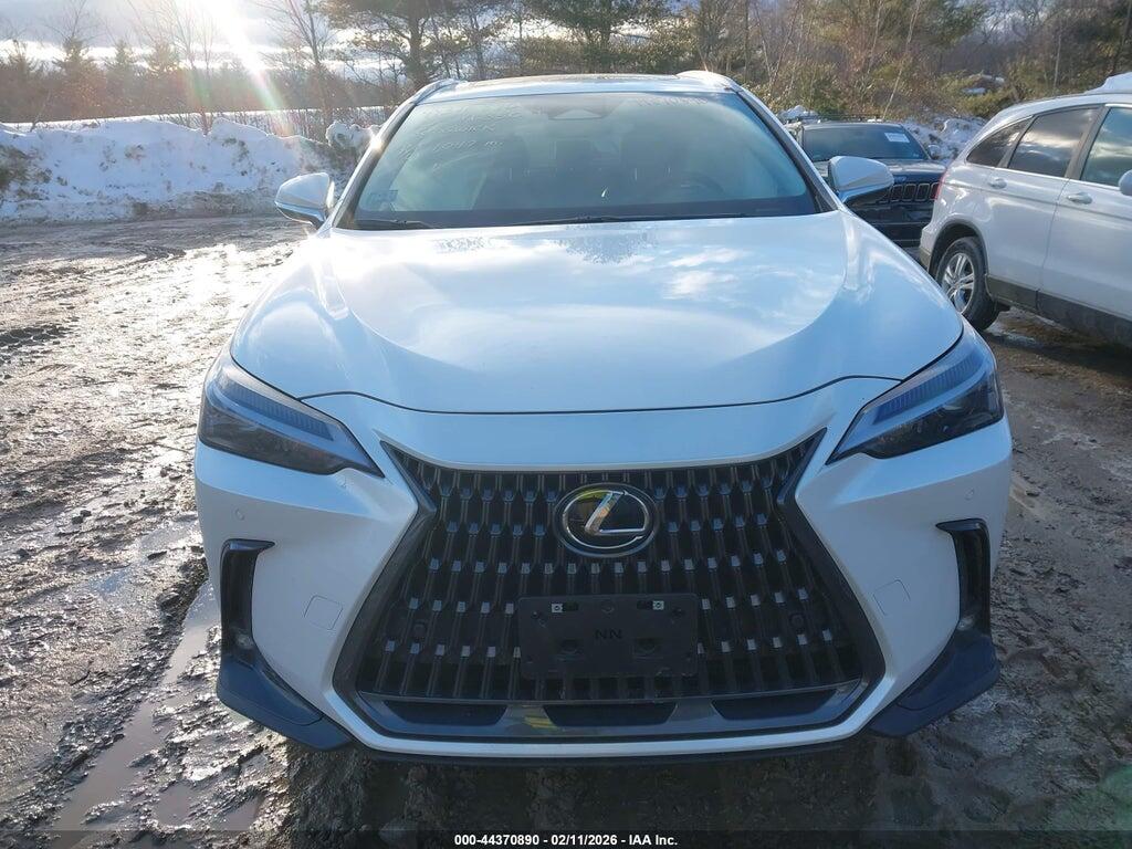 2T2GGCEZ7SC077861 2025 LEXUS NX 350 photo no. 12