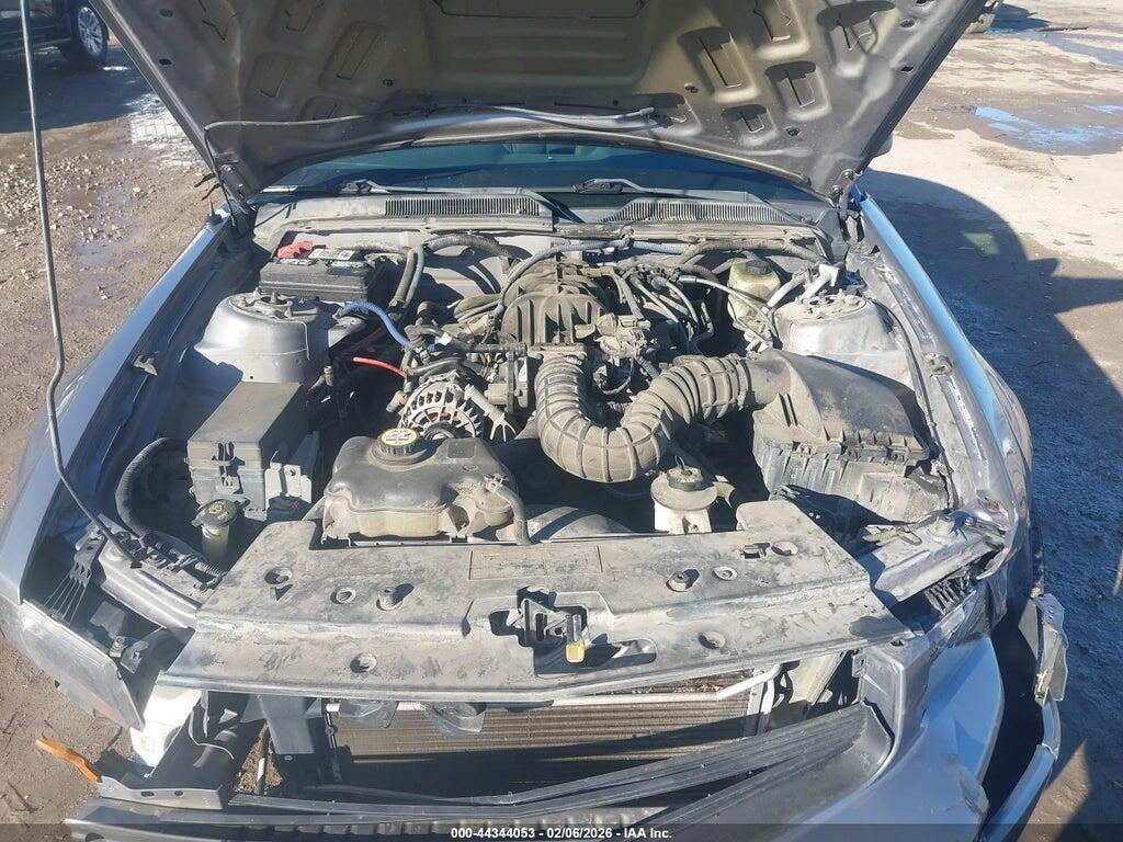 1ZVFT80N465117679 2006 FORD MUSTANG photo no. 10