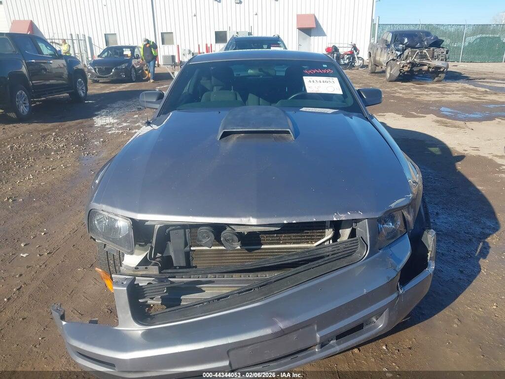 1ZVFT80N465117679 2006 FORD MUSTANG photo no. 12