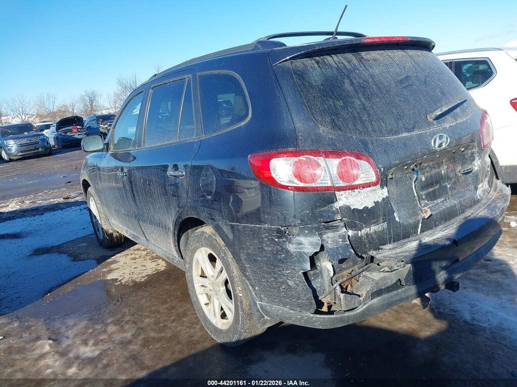 5NMSKDAG3AH371094 2010 HYUNDAI SANTA FE photo no. 3