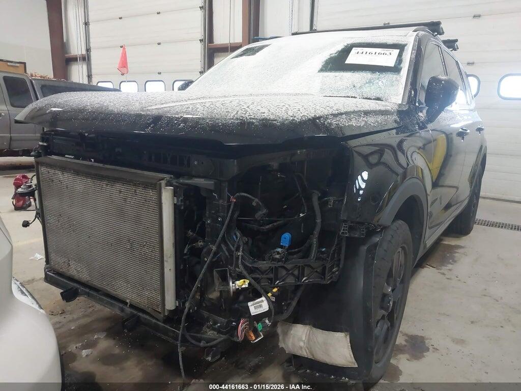 5XYP5DGC3PG410870 2023 KIA TELLURIDE photo no. 12