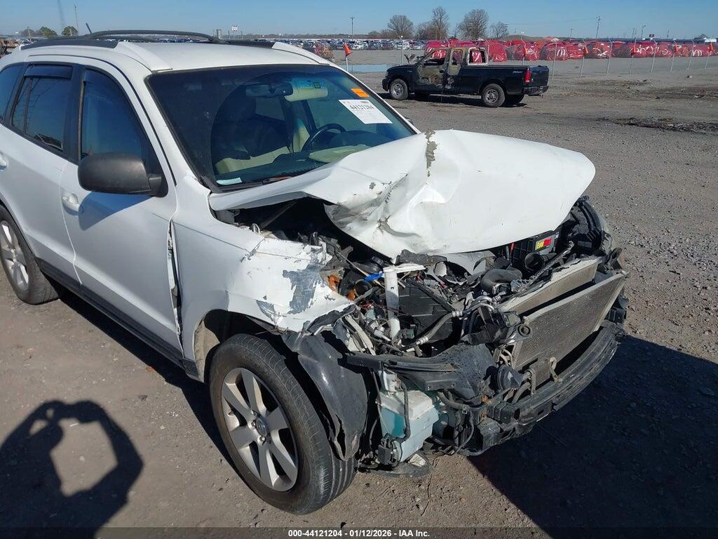 5NMSH13E07H019821 2007 HYUNDAI SANTA FE photo no. 6
