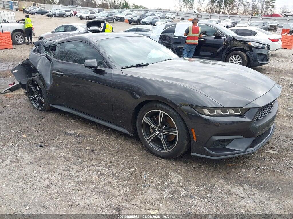 1FA6P8TH2R5146377 2024 FORD MUSTANG photo no. 1