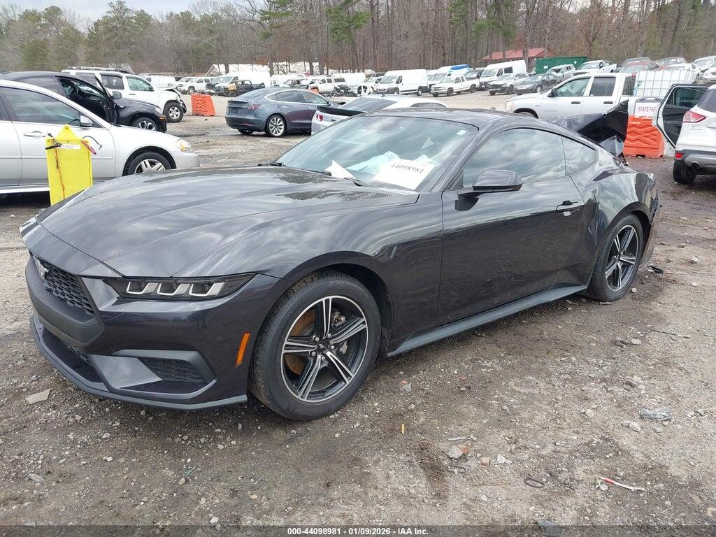 1FA6P8TH2R5146377 2024 FORD MUSTANG photo no. 2