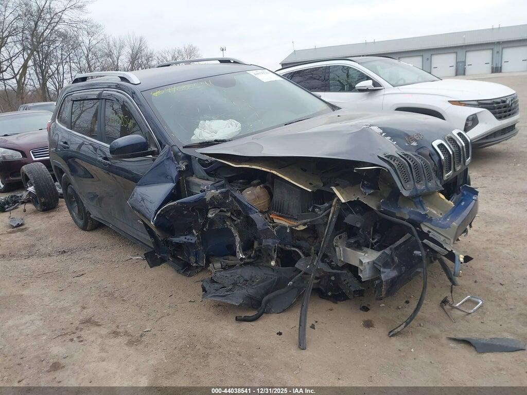 1C4PJMDB3GW240102 2016 JEEP CHEROKEE photo no. 1