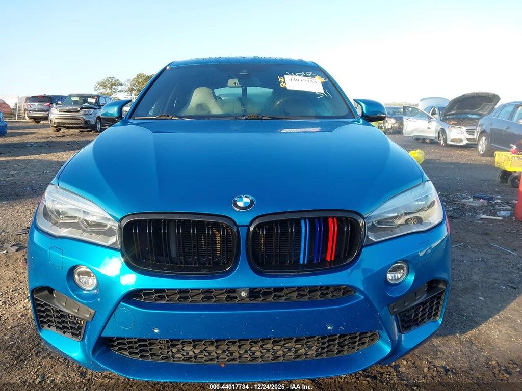 5YMKW8C56F0R42762 2015 BMW X6 M photo no. 12