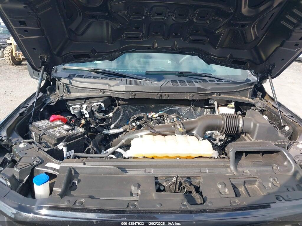 1FTEW2LP9RKF04556 2024 FORD F-150 photo no. 10