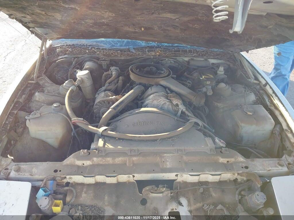1G2AS8719EL262458 1984 PONTIAC FIREBIRD photo no. 10