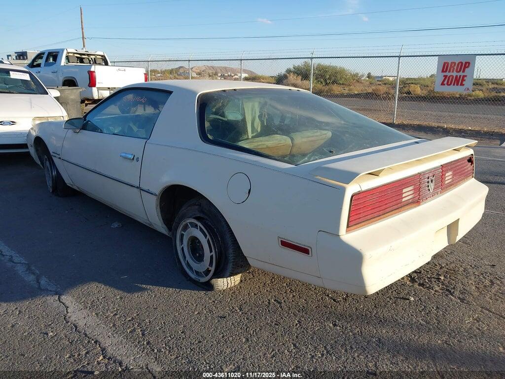 1G2AS8719EL262458 1984 PONTIAC FIREBIRD photo no. 3