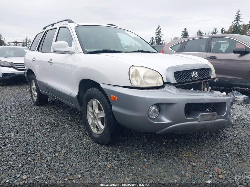 KM8SC13E44U822713 2004 HYUNDAI SANTA FE photo no. 1