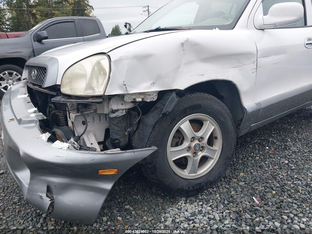 KM8SC13E44U822713 2004 HYUNDAI SANTA FE photo no. 6