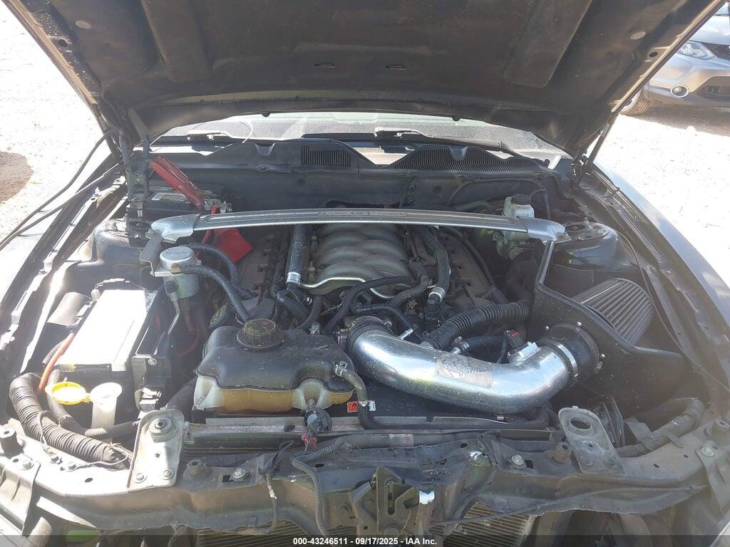 1ZVBP8CF3E5258524 2014 FORD MUSTANG photo no. 10