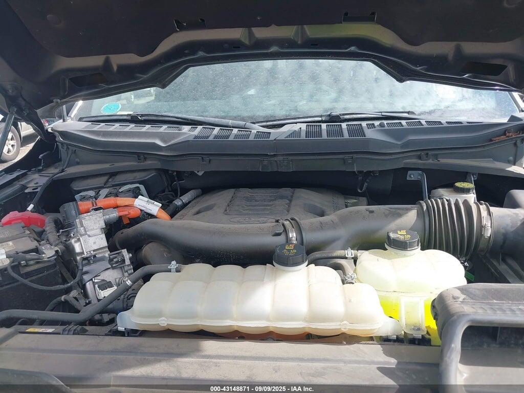 1FTFW1ED1PFA16726 2023 FORD F-150 photo no. 10