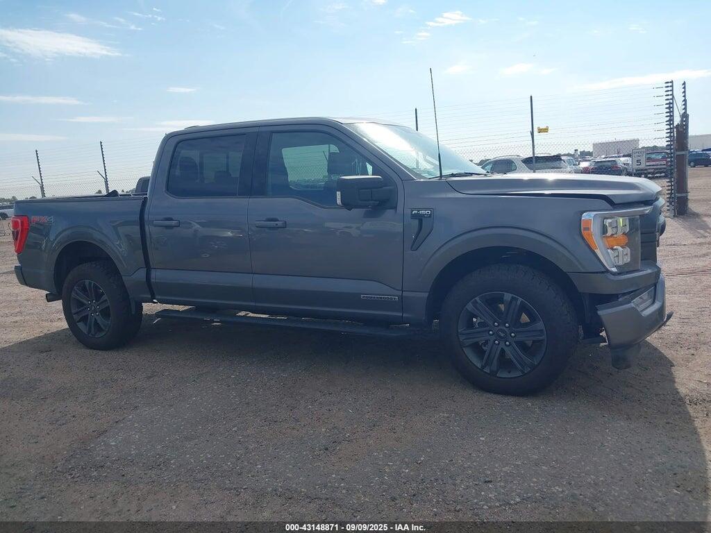 1FTFW1ED1PFA16726 2023 FORD F-150 photo no. 12