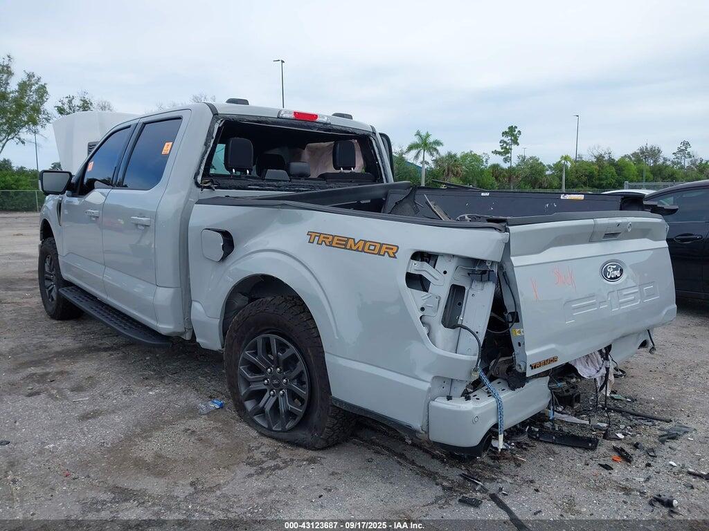 1FTFW4L50RFA69661 2024 FORD F-150 photo no. 6