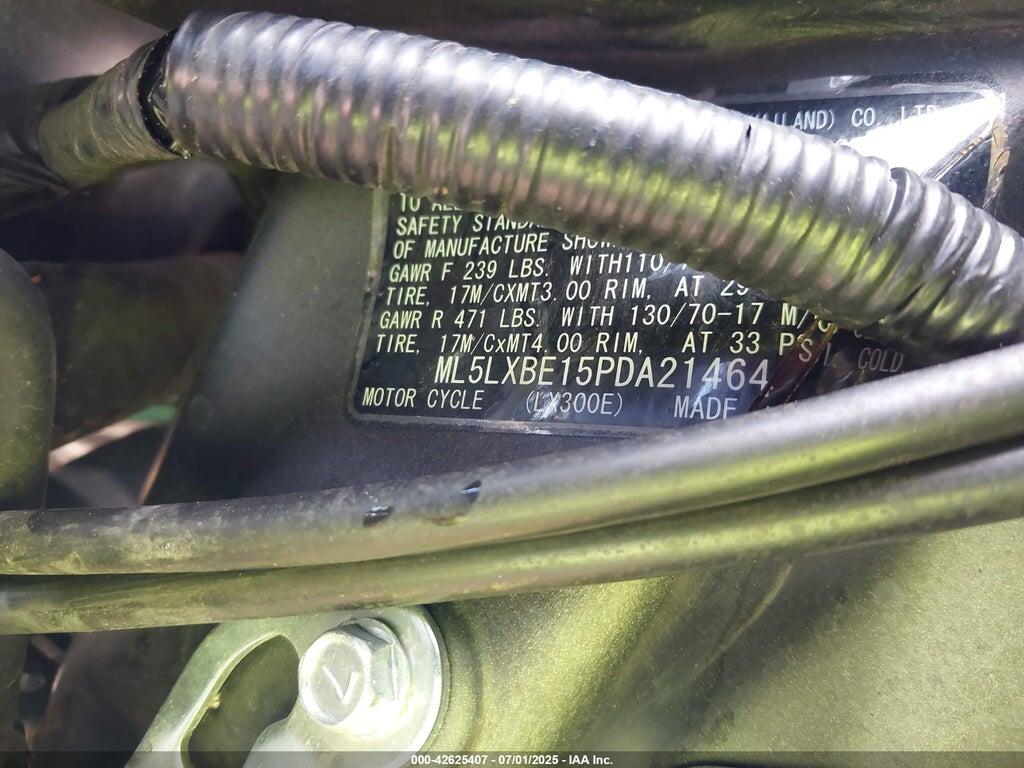 ML5LXBE15PDA21464 2023 KAWASAKI KLX300 photo no. 10