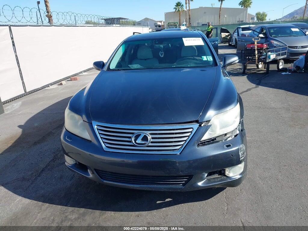 JTHGL5EF0A5038265 2010 LEXUS LS 460 photo no. 6