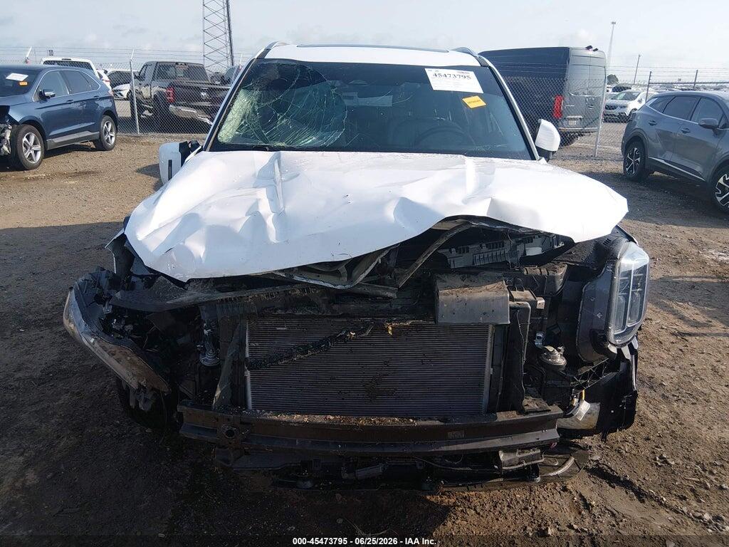 5XYP64GC2RG423707 2024 KIA TELLURIDE photo no. 6