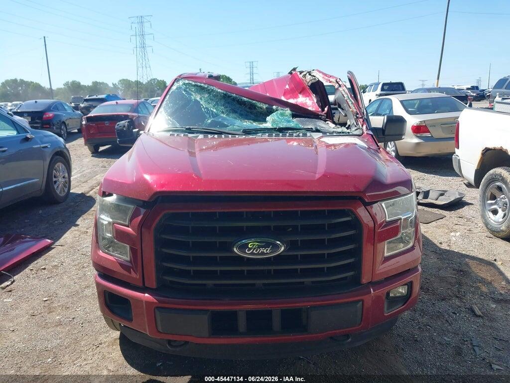 1FTEW1EG5FFB88682 2015 FORD F-150 photo no. 12