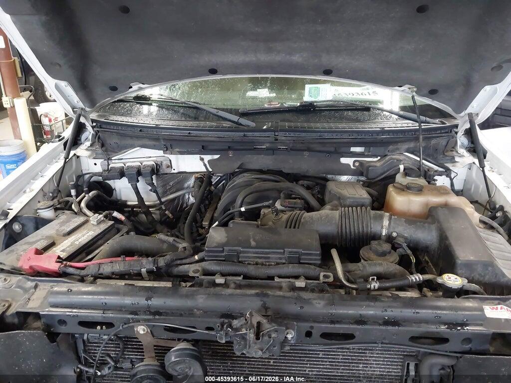 1FTEX1E83AKE78103 2010 FORD F-150 photo no. 10