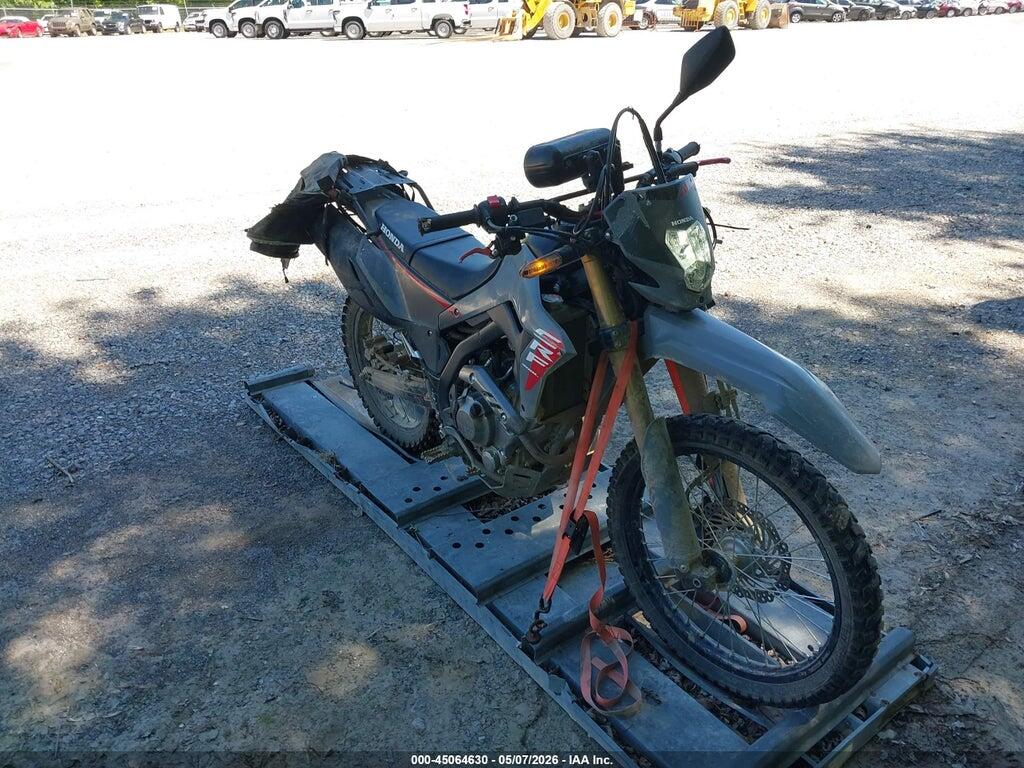 MLHND1673S5200135 2025 HONDA CRF300 photo no. 1