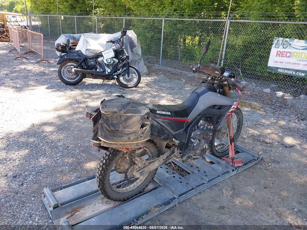 MLHND1673S5200135 2025 HONDA CRF300 photo no. 12