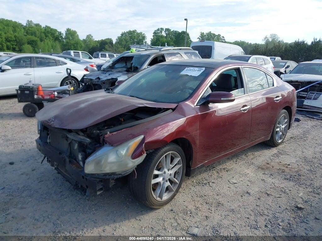 1N4AA5AP6AC804545 2010 NISSAN MAXIMA photo no. 2