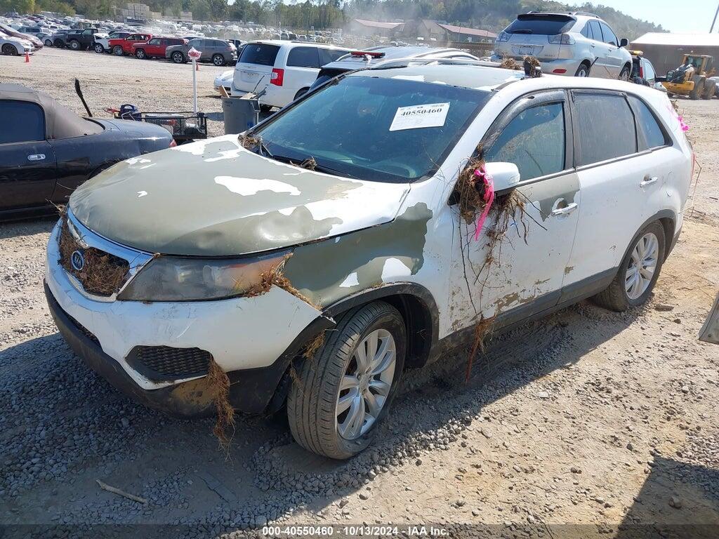 5XYKTDA23BG177503 2011 KIA SORENTO photo no. 2