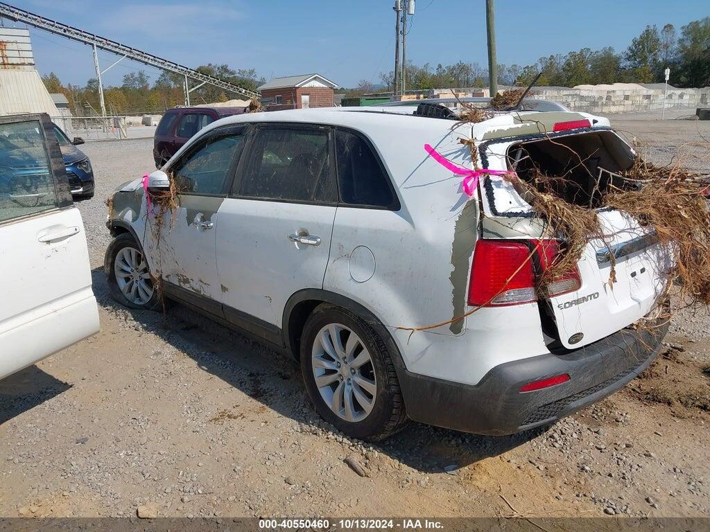 5XYKTDA23BG177503 2011 KIA SORENTO photo no. 3