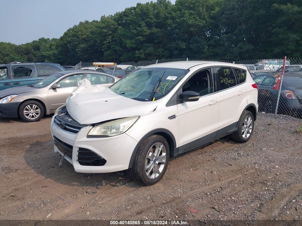 1FMCU0HX1DUB10245 2013 FORD ESCAPE photo no. 2
