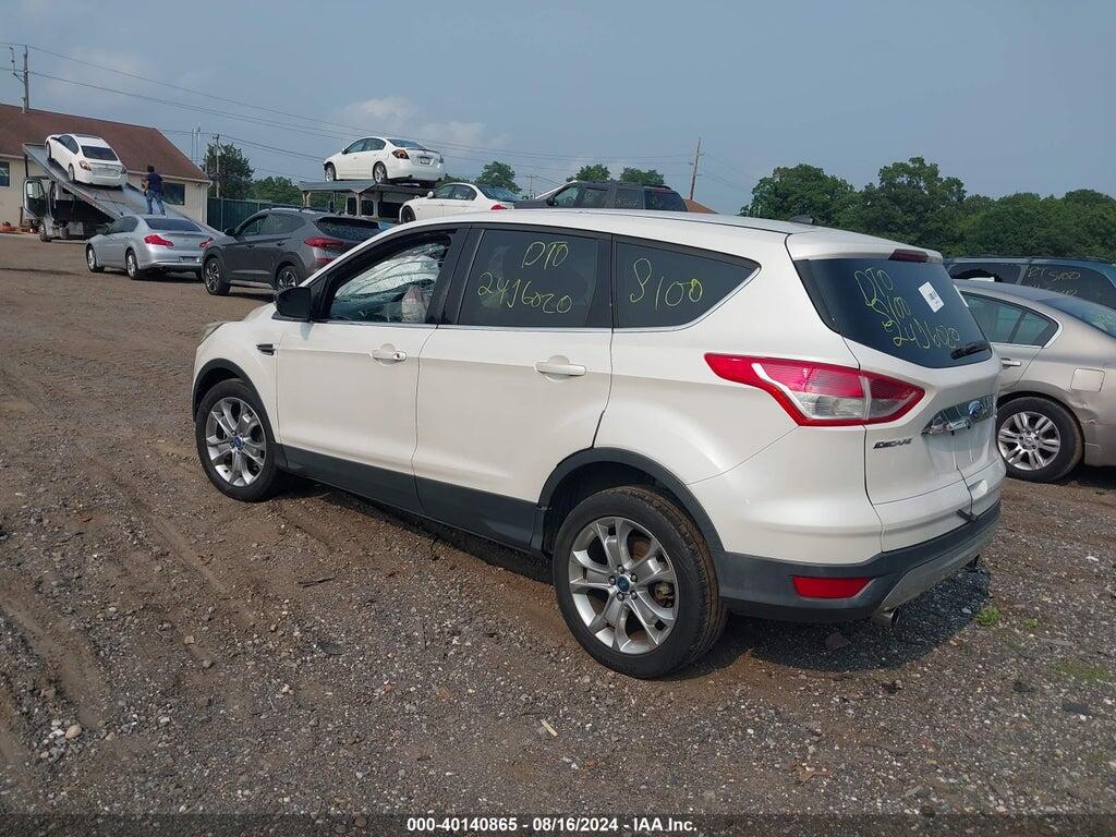 1FMCU0HX1DUB10245 2013 FORD ESCAPE photo no. 3