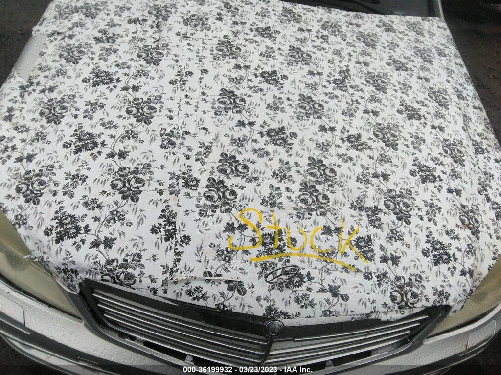 WDDGF81X69F246123 2009 MERCEDES-BENZ C 300 photo no. 10