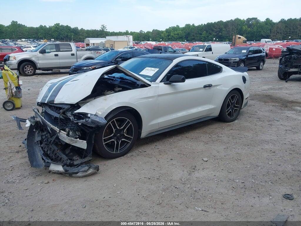 1FA6P8TH4K5151697 2019 FORD MUSTANG photo no. 2