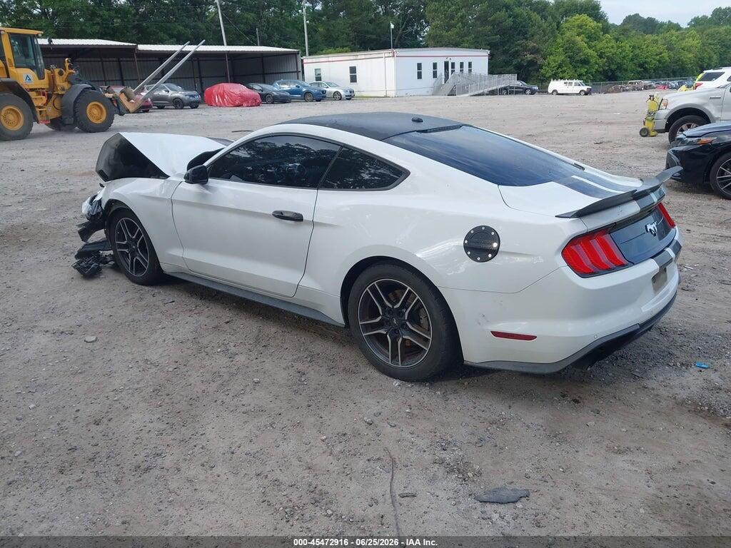1FA6P8TH4K5151697 2019 FORD MUSTANG photo no. 3