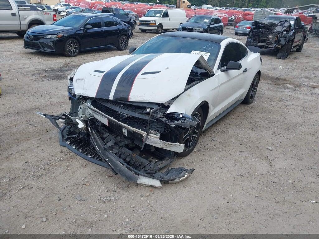 1FA6P8TH4K5151697 2019 FORD MUSTANG photo no. 6