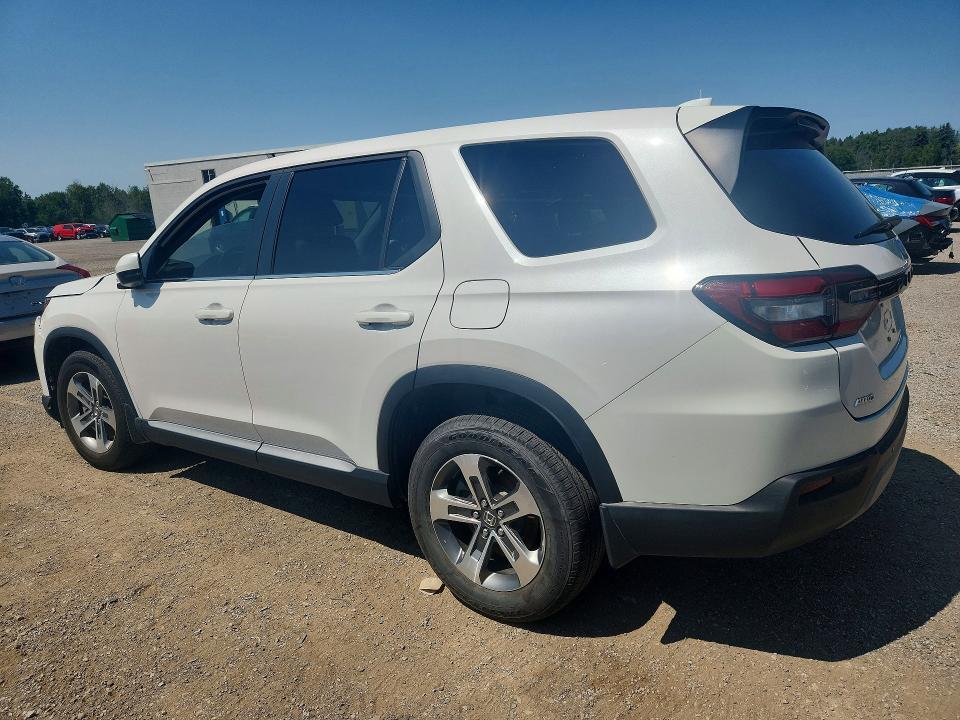 2024 HONDA PILOT EXL — Фото 2 из 13