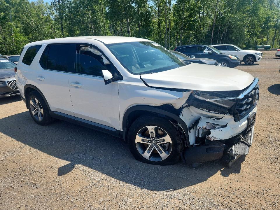 2024 HONDA PILOT EXL — Фото 4 из 13