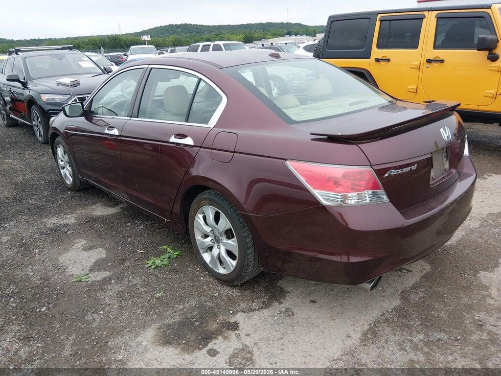 5KBCP3F89AB016807 2010 HONDA ACCORD photo no. 3