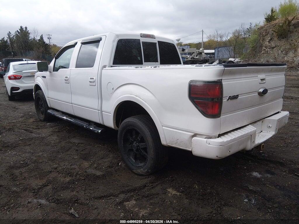 1FTFW1EV1AFB49390 2010 FORD F-150 photo no. 3