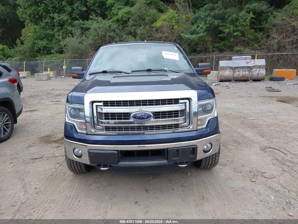 1FTFX1ETXEFB05826 2014 FORD F-150 photo no. 12