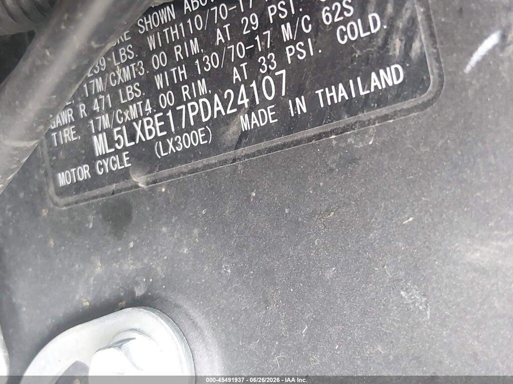 ML5LXBE17PDA24107 2023 KAWASAKI KLX300 photo no. 10
