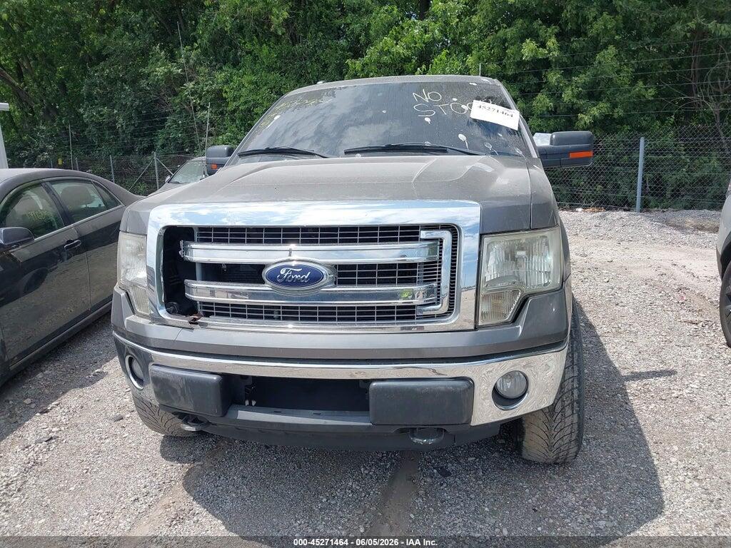 1FTFX1EF2DFA51883 2013 FORD F-150 photo no. 12