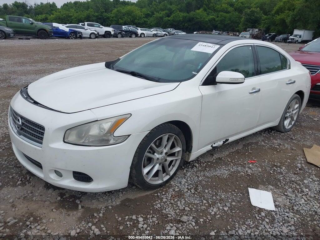 1N4AA5AP9AC824529 2010 NISSAN MAXIMA photo no. 2