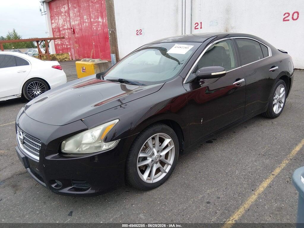 1N4AA5AP9AC862228 2010 NISSAN MAXIMA photo no. 2